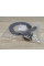 Кабель DVI-D-HDMI 1.5m